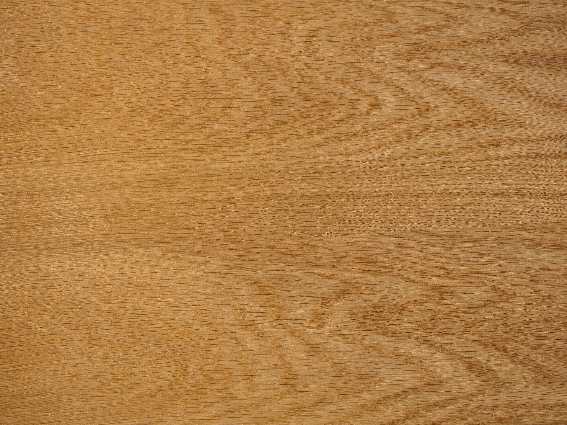 Real reference photograph of oak wood grain